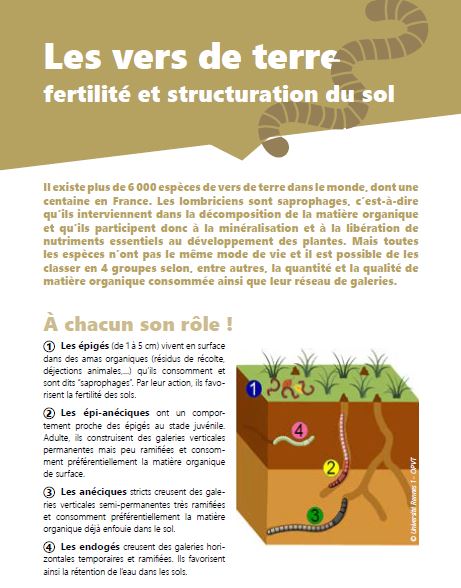 Read more about the article « La biodiversité des parcelles agricoles », synthèse du réseau ENI en Normandie