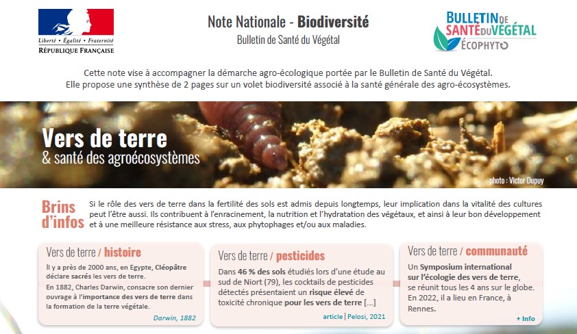 Read more about the article Note Nationale – Biodiversité : Vers de terre & santé des agroécosystèmes